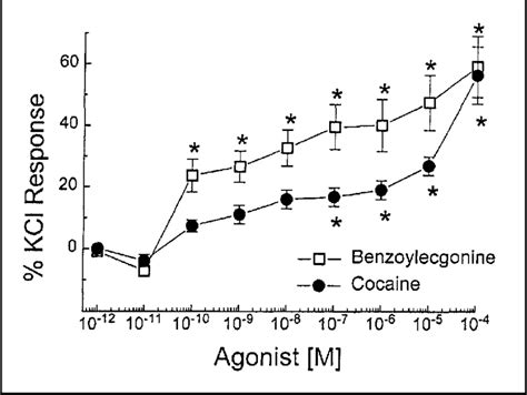 Benzoylecgonine causes concentration-dependent constriction of ...