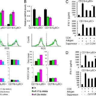 Both MiR 17 5p And MiR 20a Decrease MDSC Suppression In Vitro A And B