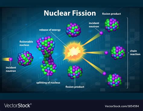 Nuclear fission Royalty Free Vector Image - VectorStock