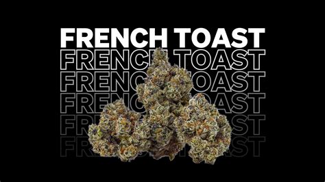 French Toast Cannabis Strain French Toast Strain Faqs