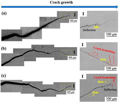 Metals Free Full Text The Effect Of Fatigue Damage On The Corrosion Fatigue Crack Growth