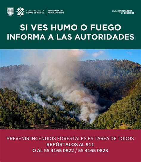 Secretaría Del Medio Ambiente On Twitter En La Cdmx 🇲🇽 El 100 De Los Incendiosforestales Son