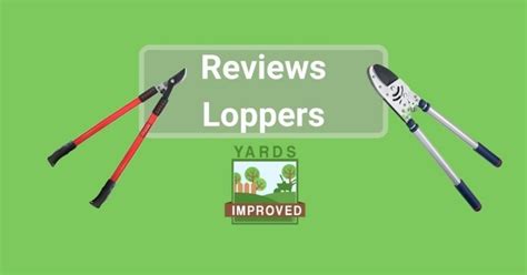 Best Loppers Reviewed - Yards Improved