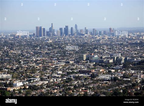 View Of Downtown Skyline From Hollywood Hills Los Angeles California