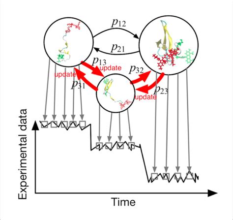 Data Driven Simulations To Understand Protein Dynamics Theoretical