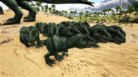 ARK: Giganotosaurus - How to Tame, Feed and Breed!