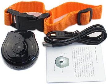 Top 3 Cat Collar Video Cameras To Pick From In 2022 Reviews