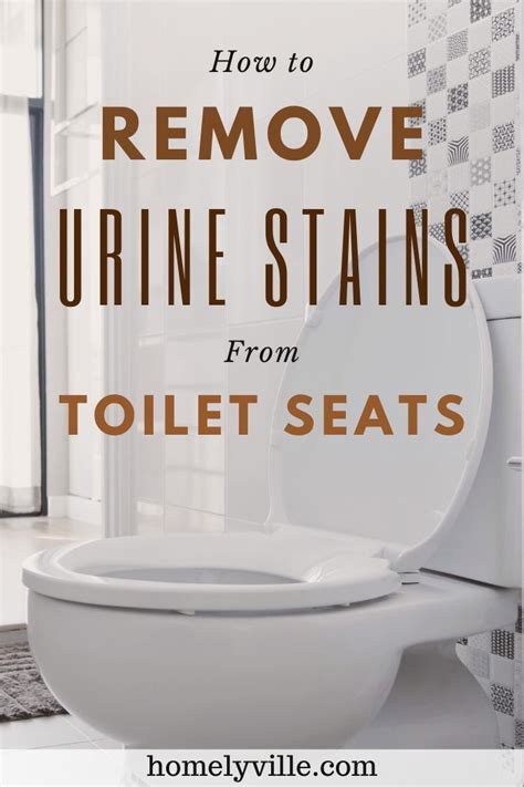 How To Remove Urine Stains From Toilet Seats Artofit