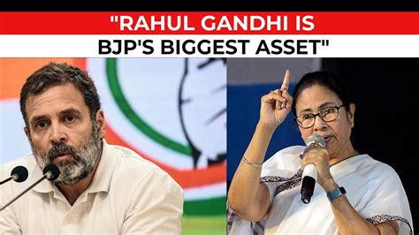 Rahul Gandhi Is Bjp And Pm Modis Biggest Trp Mamata Banerjee Hits Out