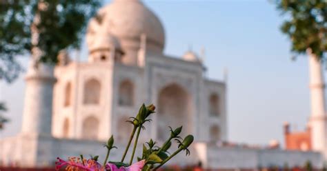 From Delhi 5 Day Private Golden Triangle Tour Hotels GetYourGuide