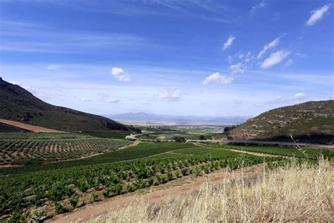 Le Swartland Eldorado Des Nouveaux Vignerons Sud Africains L Avenir