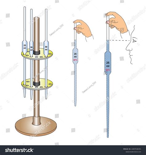 Pipette Principle Parts Types Procedure Uses Examples 59 OFF