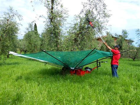 Ombrello Per La Raccolta Delle Olive E Frutti Pendenti Olivspeed By Bosco