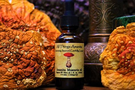 Organic Amanita Muscaria Olive Oil Infusion All Things Amanita