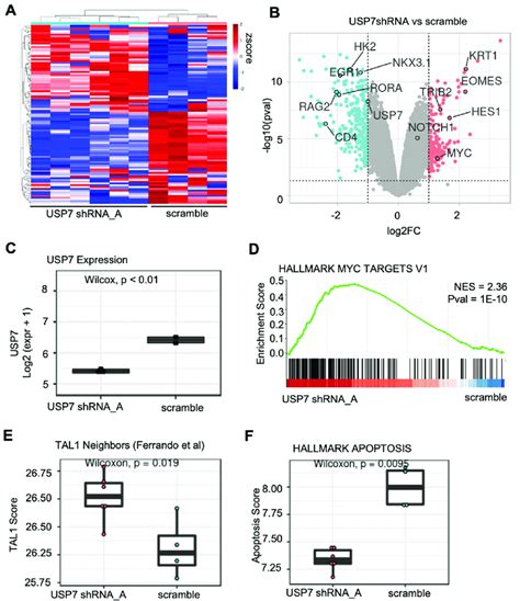 Expression Analysis Example Of Rna Seq Data Usp7 Silenced Jurkat Cells Download Scientific