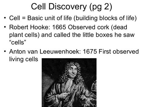 Cell discovery