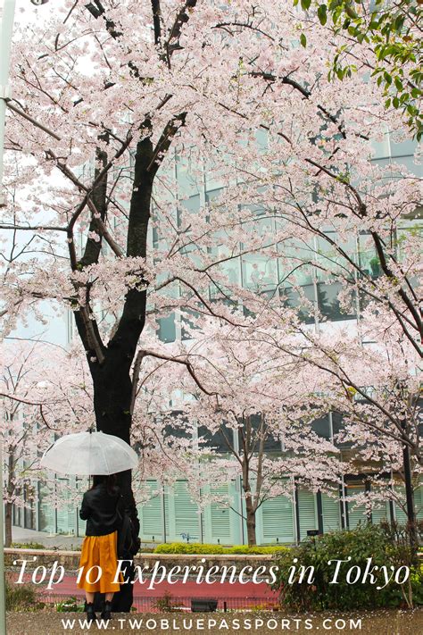 Japan Part II: Top 10 Experiences in Tokyo — Two Blue Passports