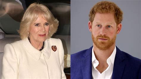 Camilla Is ‘astounded By Harrys Claim She ‘got In Bed With The Devil