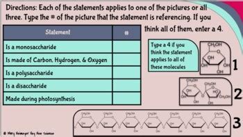 Carbohydrates Digital Escape Room By Hey Now Science Tpt