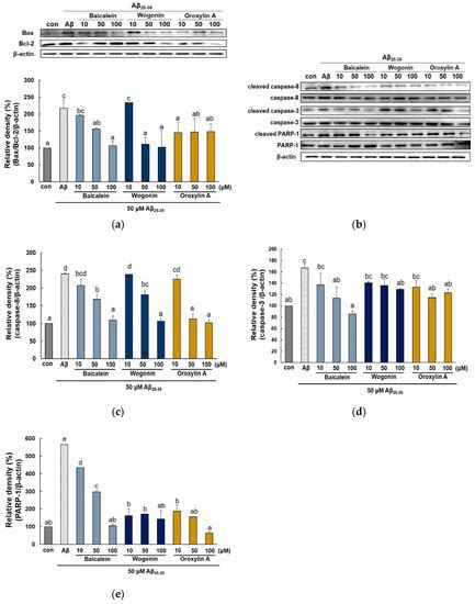 Molecules Free Full Text Neuroprotective Effects Of Baicalein