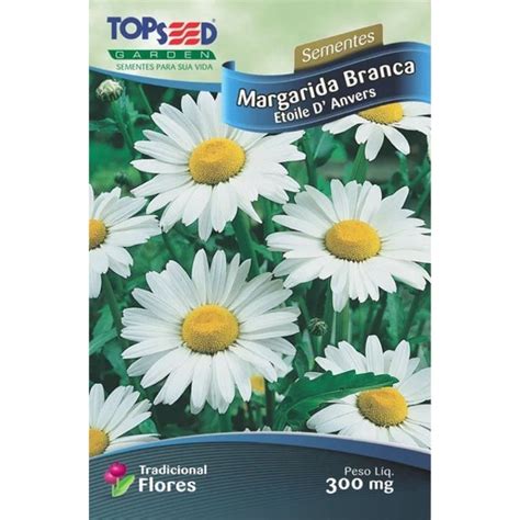 SEMENTES DE MARGARIDA BRANCA ETOILE DANVERS 180 Sementes Shopee Brasil