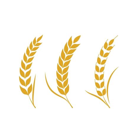 Premium Vector Agriculture Wheat Vector