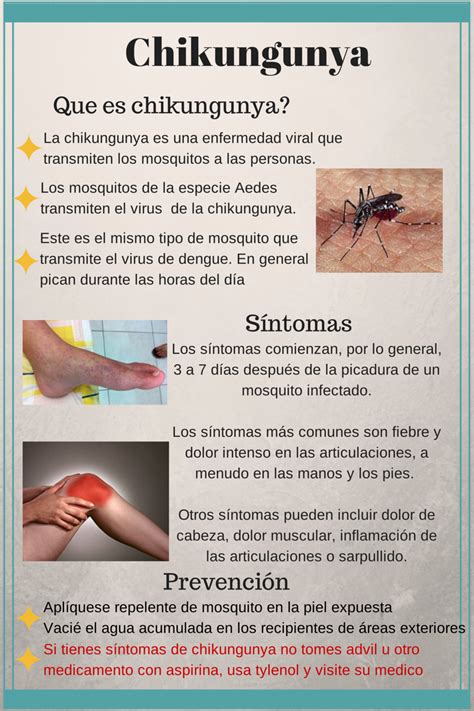 Chikungunya S Ntomas Y Prevenci N Medical Medicine Nursing Board