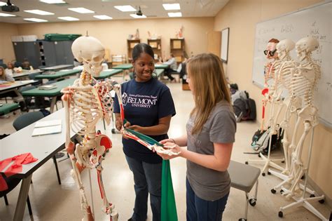 Belmont Universitys Occupational Therapy Masters Program Receives 10