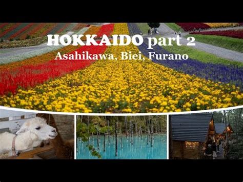 2 Weeks in Hokkaido Part 2 Asahikawa Biei Furano ᴇɴ ɪᴅ sᴜʙs