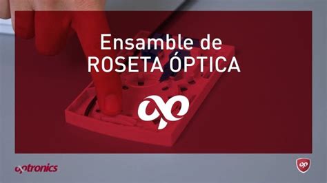 Descubre La Revolucionaria Roseta De Fibra Ptica Empotrada La