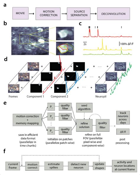 Processing Pipeline Of Caiman For Calcium Imaging Data A The Typical