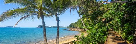 Cassowary Coast Cairns And Hinterland Hospital And Health Service