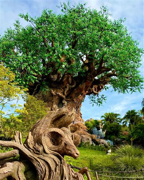 Disney tree of life – Artofit