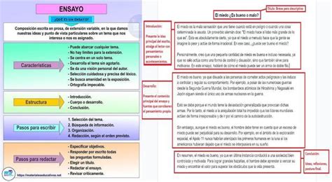 Cómo Realizar Un Ensayo Guía Para Escribir Un Ensayo