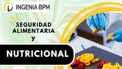 Seguridad Alimentaria Y Nutricional Youtube