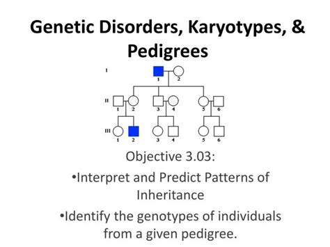 Ppt Genetic Disorders Karyotypes And Pedigrees Powerpoint