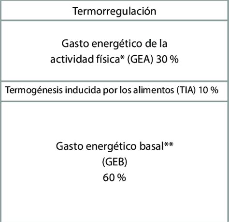 Los componentes del gasto energético total GET son el gasto