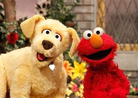 Pin By Christine Schultz On Sesame Street Muppets Sesame Street