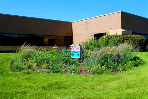 Blooming Benefits: Sioux Honey Co-op's Pollinator Garden - Sioux Honey