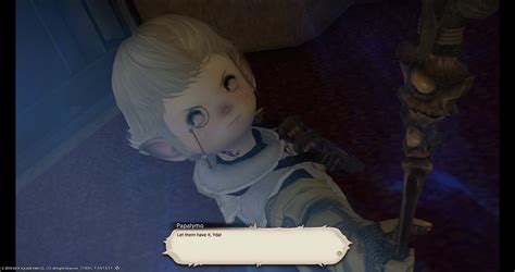 I Know This Gets Brought Up A Lot But I Just Finished Realm Reborn