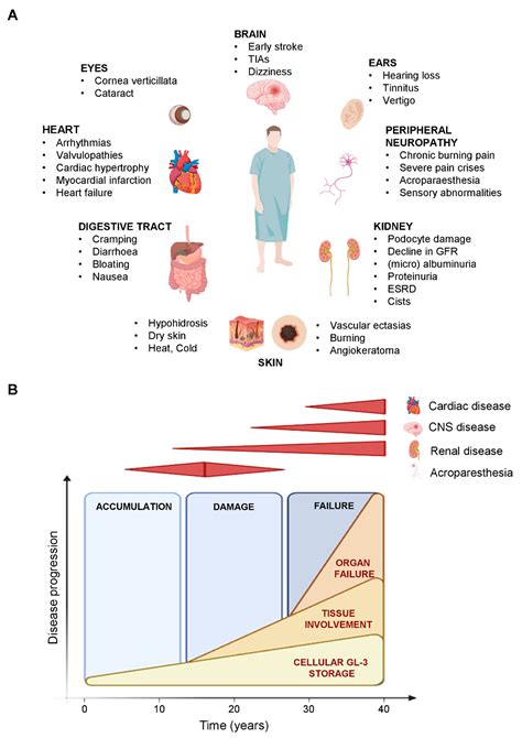 Metabolites Free Full Text Metabolic Fingerprinting Of Fabry Disease Diagnostic And