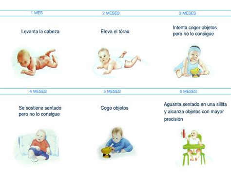 Formacion Infantil Desarrollo Psicomotor