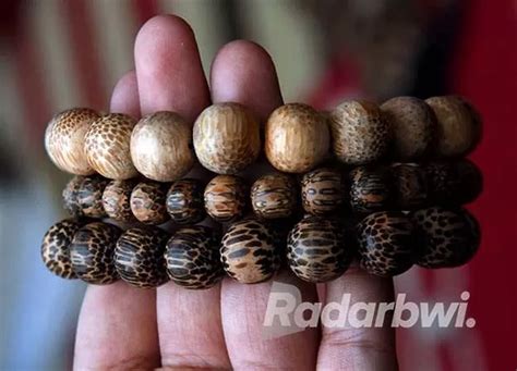 Gelang Kayu Liwung Seratnya Menyerupai Kulit Macan Radar Banyuwangi