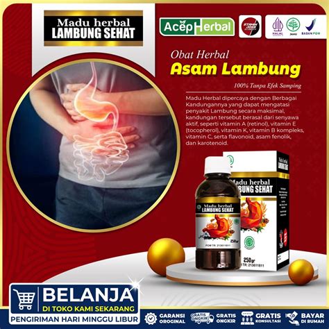 jual obat asam lambung herbal obat asam lambung kronis  gerd obat