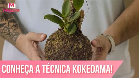 APRENDA A FAZER MUDAS A TÉCNICA KOKEDAMA YouTube