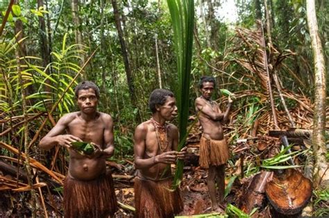 Meski Memang Kanibal Suku Korowai Papua Hanya Akan Menyantap Manusia