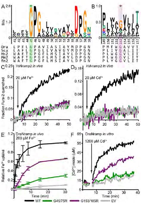 Crystal Structure And Conformational Change Mechanism Of A Bacterial