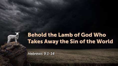 Sermon Behold The Lamb Of God Who Takes Away The Sin Of The World