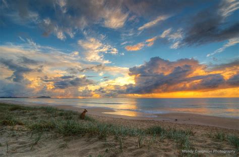 Windang Beach, NSW | Beautiful places, Natural landmarks, Seascape