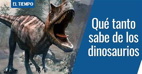 Es Fan Tico De Los Dinosaurios Pruebe Sus Conocimientos Con Este Test